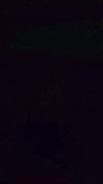 Yachems webcam model stream image