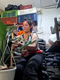 Niidia webcam model stream image