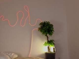 nicolehampton webcam model stream image
