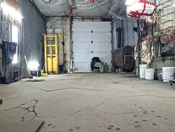 Frankdick01 webcam model stream image