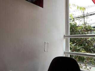 Braun Phillips webcam model stream image