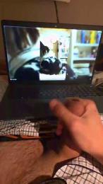 Diegarcho webcam model stream image