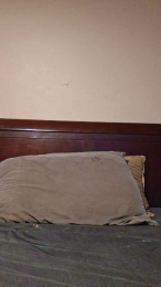 Jt14 webcam model stream image