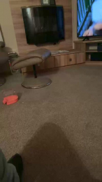 Lovetopee43 webcam model stream image