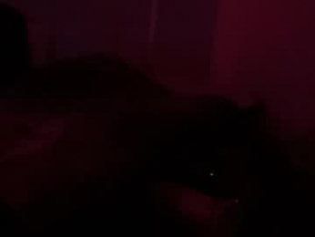 femgirl99 webcam model stream image