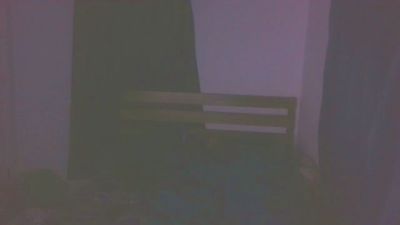 boost2469 webcam model stream image