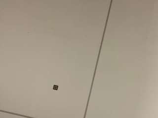 sophiekitty webcam model stream image