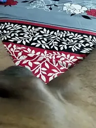 desi_pb02 webcam model stream image