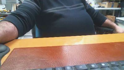 paradedo webcam model stream image