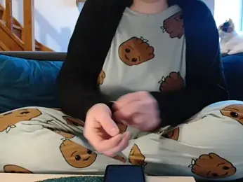 Lauzo webcam model stream image