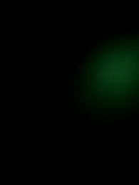 aly_golden_ webcam model stream image
