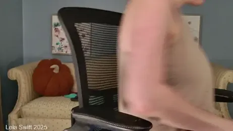 LeiaSwift webcam model stream image