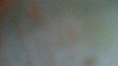 Lollaloba webcam model stream image