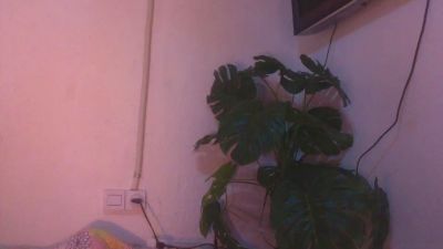 Pantermoon webcam cam4 model stream image