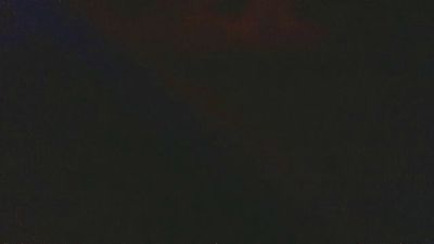 Ligank webcam model stream image