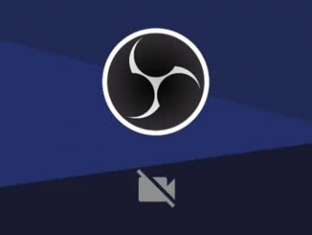 oh_tique webcam model stream image