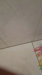Pedrinhodot19cm webcam model stream image