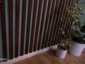 sochnogirls webcam model stream image