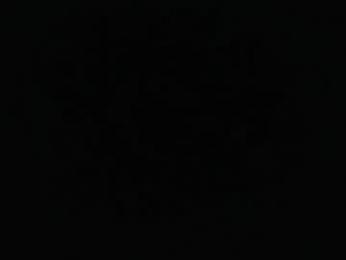 nyxii webcam model stream image