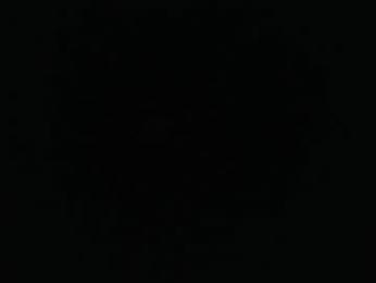 nyxii webcam model stream image