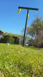 tomtoy29 webcam cam4 model stream image