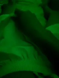 Daniel-900 webcam model stream image