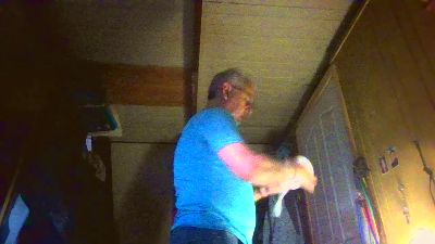 nicedick184 webcam model stream image