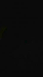 diversing_fun webcam model stream image