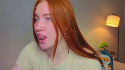 GingerDryer webcam model stream image