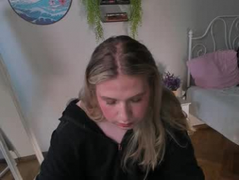 jes_solar webcam model stream image