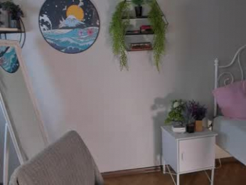 jes_solar webcam model stream image