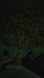 xikitinx1990 webcam cam4 model stream image