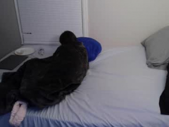 bubblebuttbdn webcam model stream image