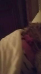 Romanodoc78 webcam model stream image