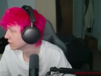 polarny05 webcam model stream image