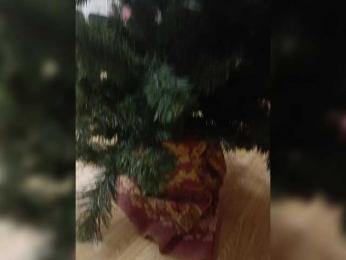 Evvgenia12345 webcam model stream image