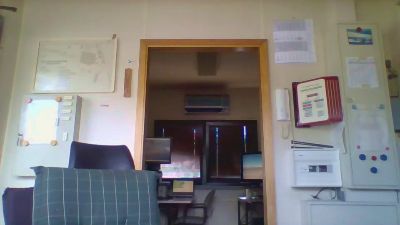 dogscout webcam model stream image