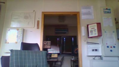 dogscout webcam model stream image