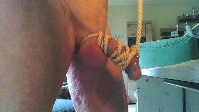 Liebherr66 webcam model stream image