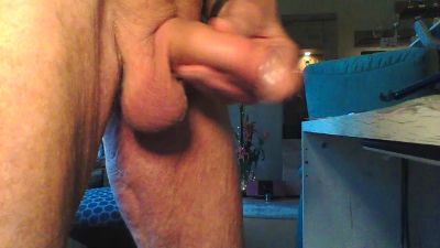 Liebherr66 webcam model stream image