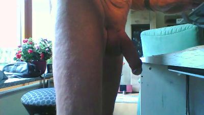 Liebherr66 webcam model stream image