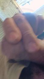 alexander21852 webcam cam4 model stream image