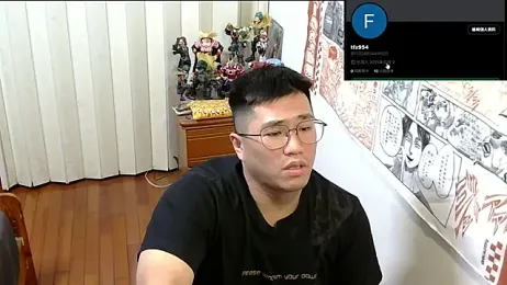 tfx954 webcam model stream image