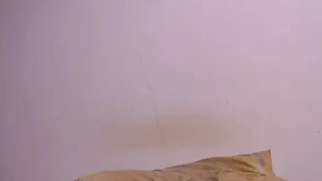 Anaconda_larga webcam model stream image