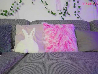rosess_ webcam model stream image