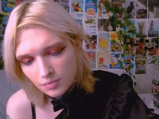 simonarain webcam model stream image