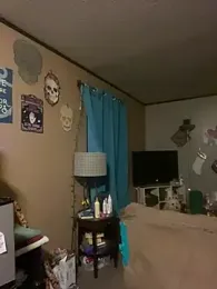 denverfwb webcam model stream image