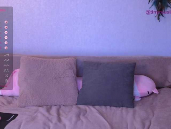 tiny_rousi webcam model stream image