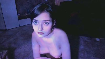 VasilLisav webcam model stream image