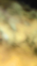 Bikeusebip webcam model stream image